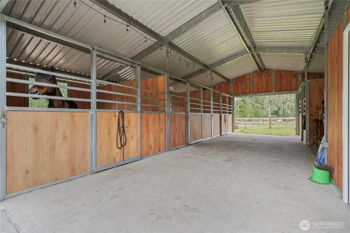 Interior view of your barn, amazing flooring, clean and ready to go, gorgeous wood throughout and horsey to the left says HELLO!