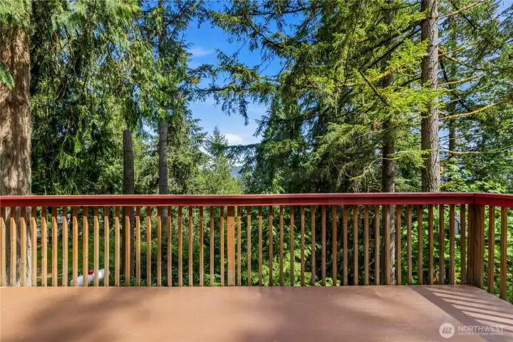 Filtered lake and mountain outlooks create a tranquil backdrop from the deck and main living areas.