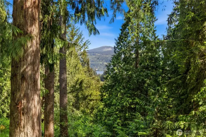 Filtered lake and mountain views add to the home’s tranquil setting and connection to the outdoors.