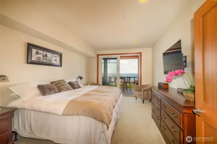 Large primary bedroom with views and access to the patio