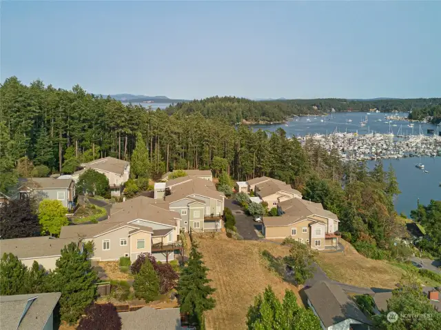 Port of Friday Harbor Marina in the background