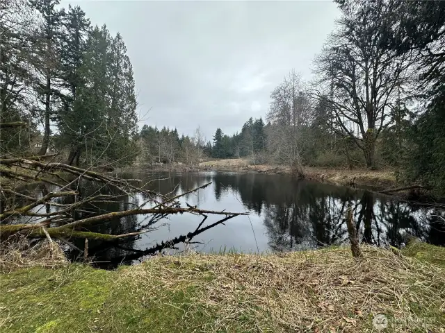 Pond on the property