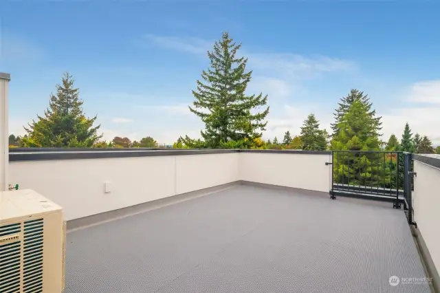 In addition to the patio, each home has a rooftop deck!  Lovely territorial views!