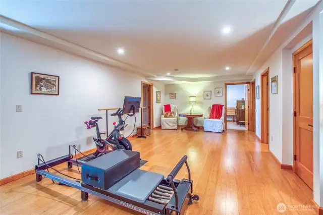 This is the lower bonus room looking toward the studio/office room, guest bath though the door, guest room to the distant right and laundry room to the right + a closet