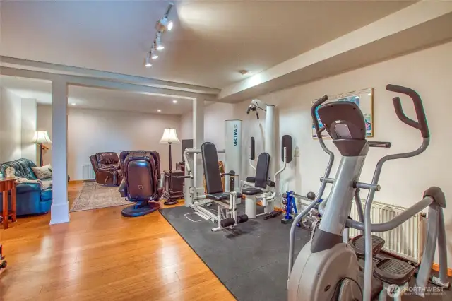 Bonus room on lower floor is used as a media area, workout gym and sitting area
