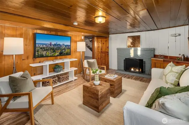 Cozy lower level living room.