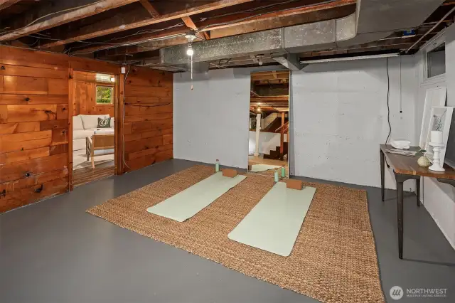 Lower Level with plenty of space and high ceilings