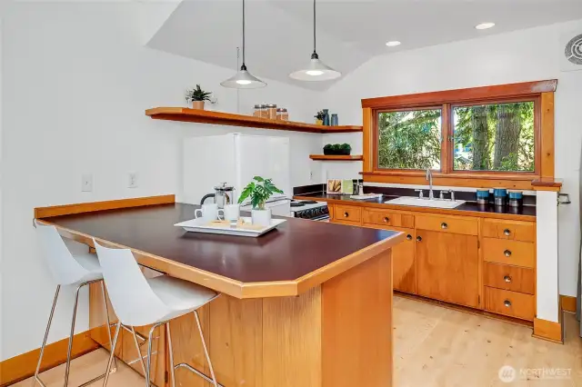 Simple yet elegant, the kitchen looks out into the tress and forest-like side yard.