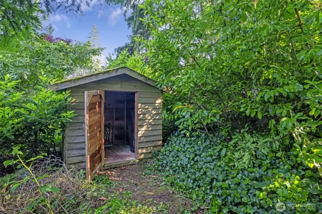 Shed in Backyard behind hedges