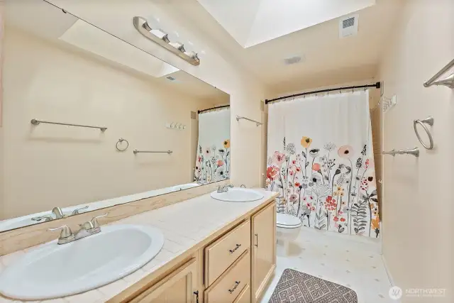 Primary bath with skylights
