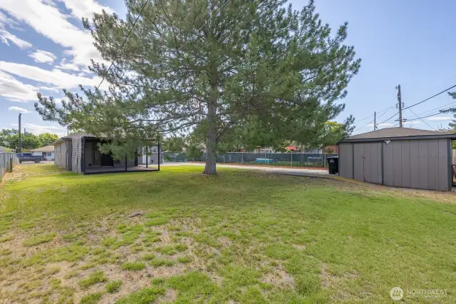 Backyard