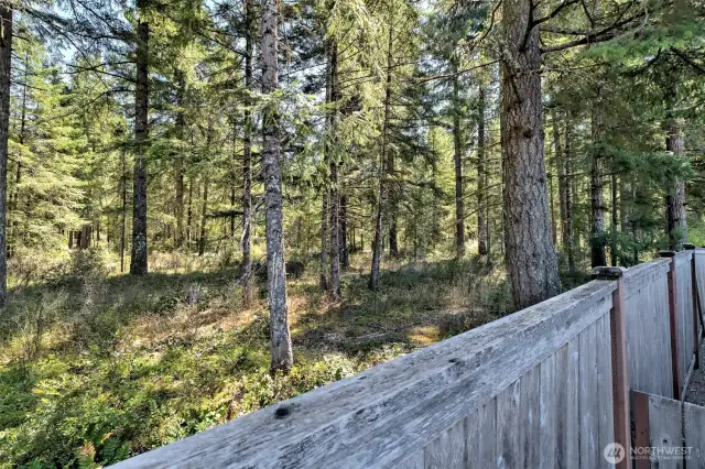 Backs up to a green belt!  Great privacy here!