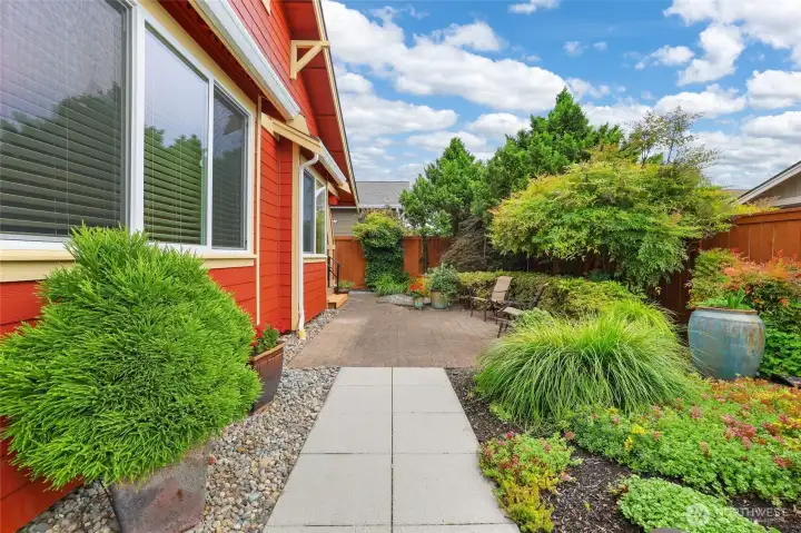 Manicured back yard!