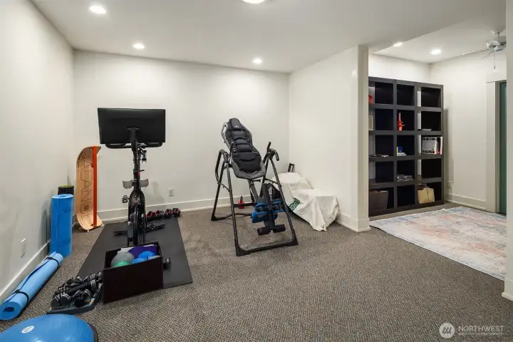 Bonus media room currently dual purpose