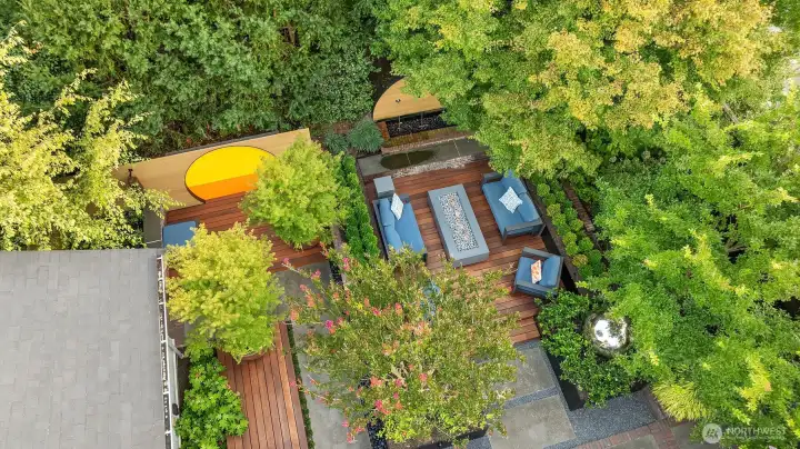 Aerial of garden