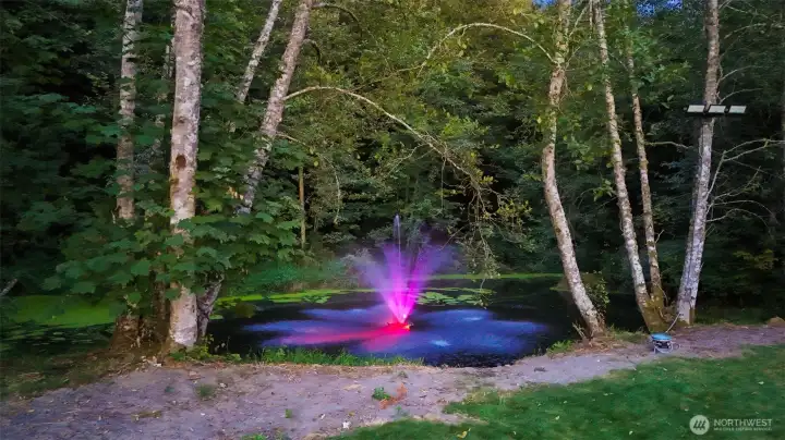 Huge Koi Pond with LED lit fountain next to the beach volleyball court