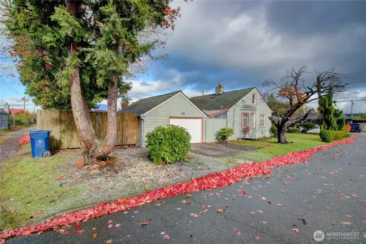 This corner lot is a great option for an ADU in the back yard with alley access.