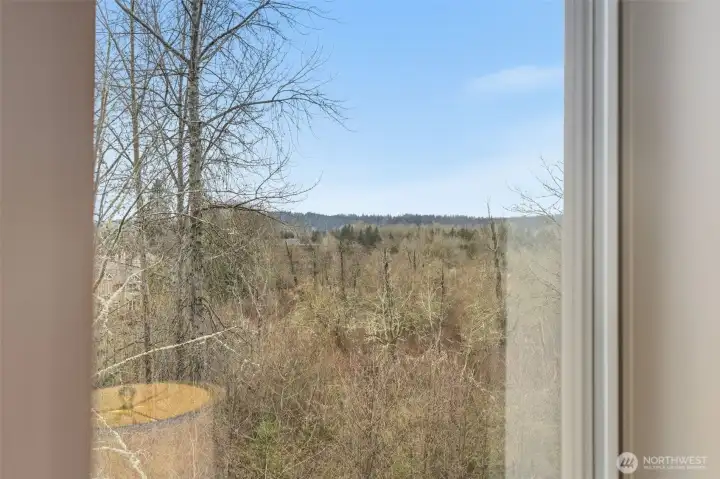 Serene outlook from the upper level overlooking surrounding natural scenery