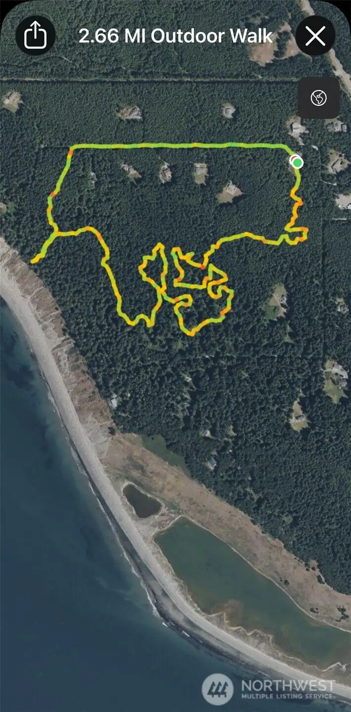 Juggernaut Orca View Long Sleeve