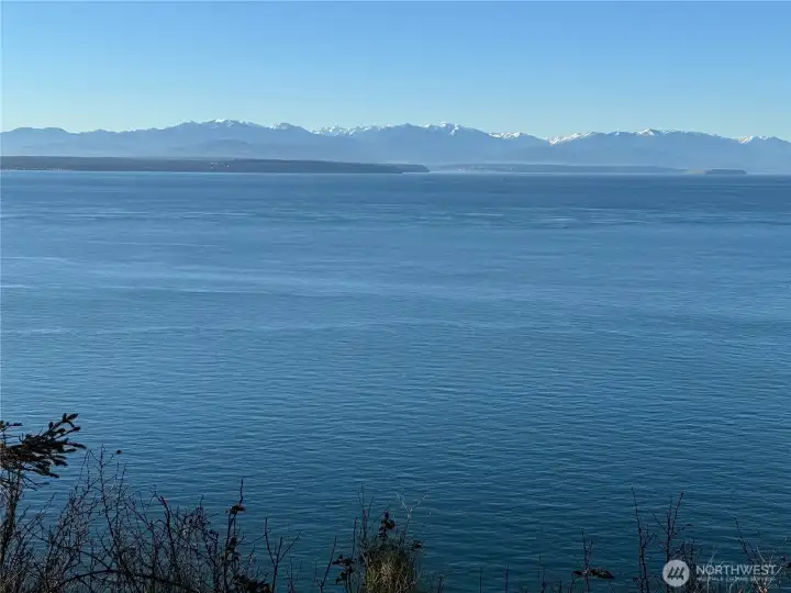 Olympics from Orca View 2