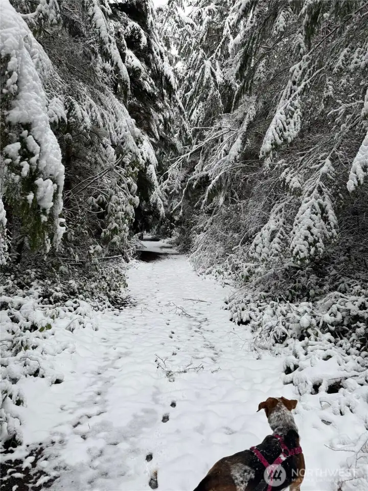 Kettle Trails Winter