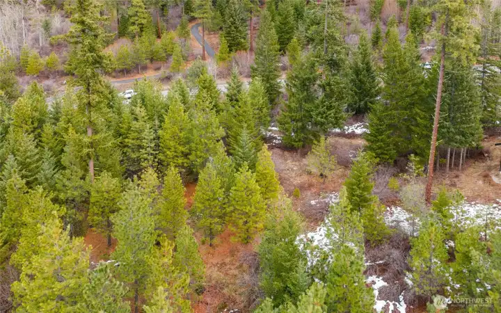 This parcel offers the perfect canvas for your custom mountain residence- with access to trails, community amenities like historic Nelson Farm, and a vibrant outdoor lifestyle.