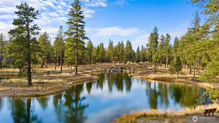 Nelson Lakes offers a tranquil natural setting just moments from Lot 61.