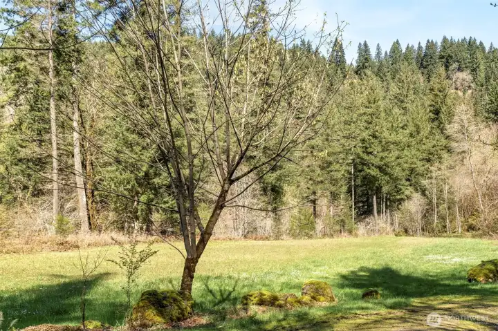 Neighborhood Park