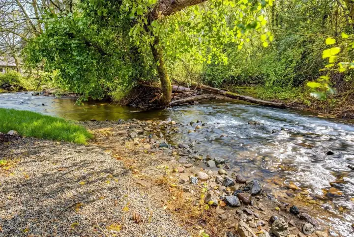 Another view of the the backyard creek.