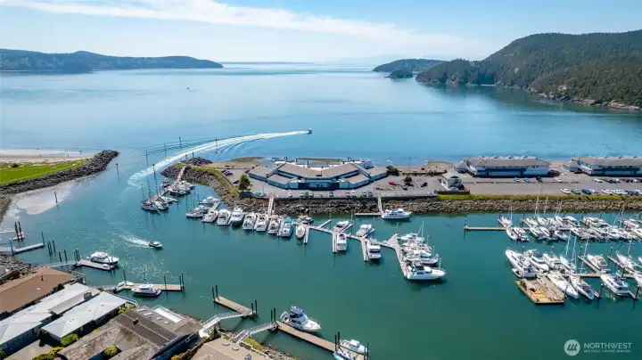 Skyline Marina with the condos in the back ground