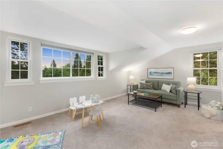 Bonus Room - Secondary Suite