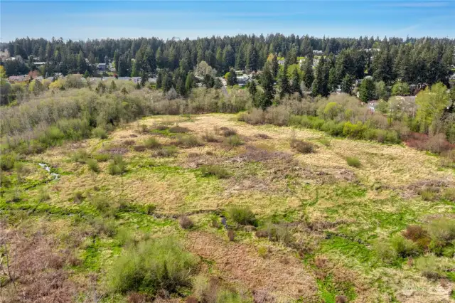 City of University Place will require a "wet land" study however the adjacent lot had one completed that you can request for public records.