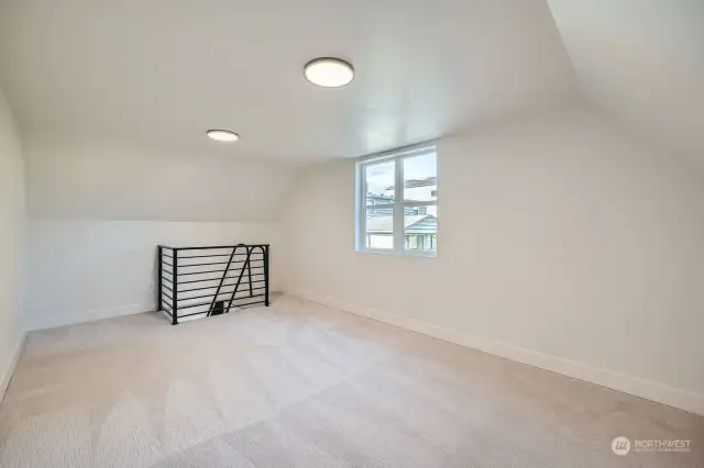 Bonus Room Could Be a Home Gym of Home Office