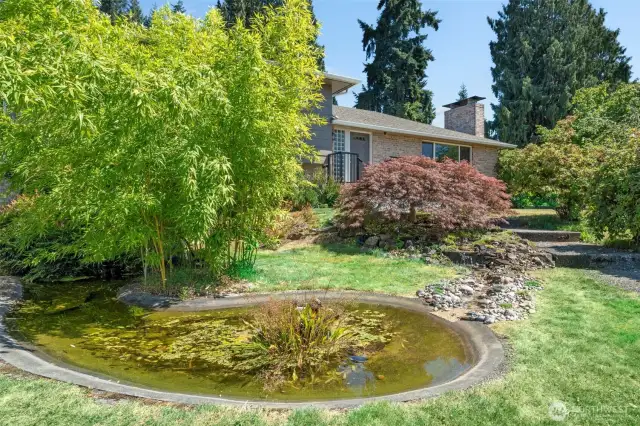Lovely pond and stream out front.