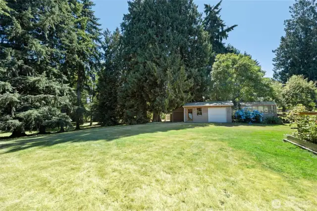 Plenty of room to play football in this yard!
