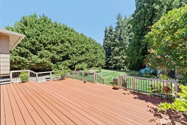 Big deck!