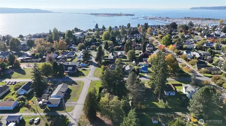 Property is in lower center of photo with the tall trees