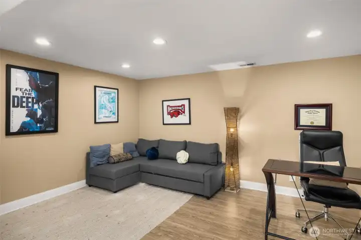 Lower level flex space.