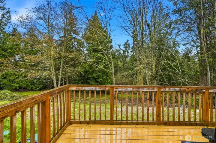 Large back deck overlooking the expansive yard and surrounding greenery.