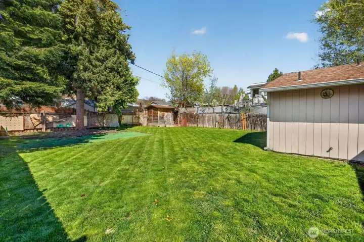 large backyard large backyard