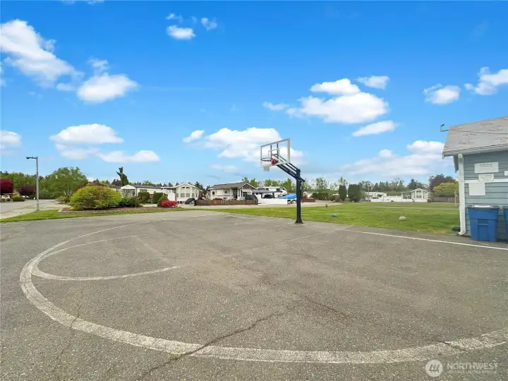 Basketball