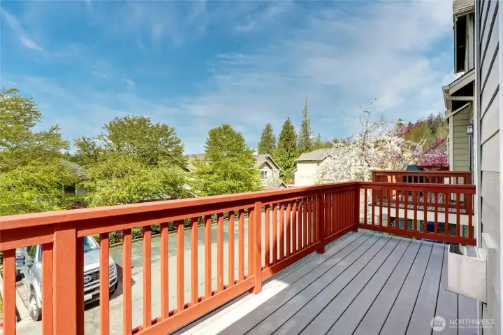 Beautiful Deck with a View