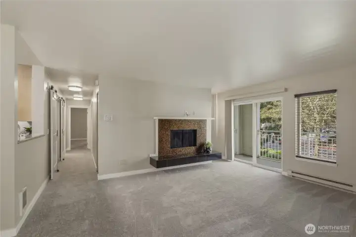 Brand New Carpets