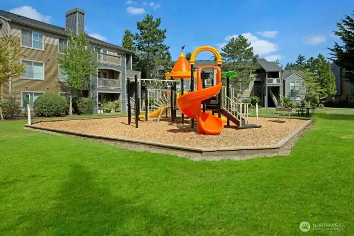 Play Area