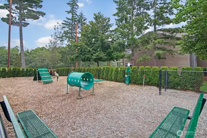 Fenced Dog Park