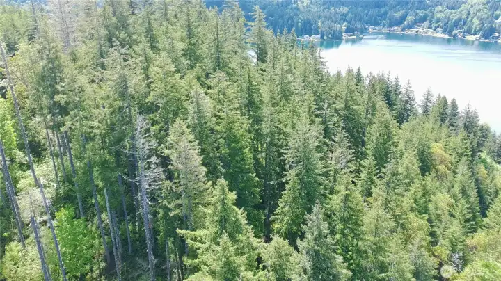 Drone view from back of property looking over it towards lake.