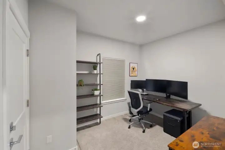Lower Level - Bedroom #4