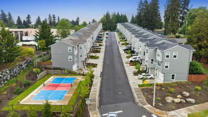 Community Pickleball Court