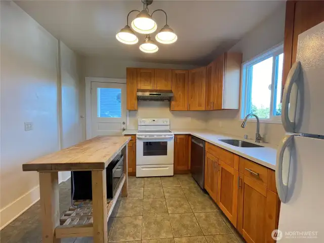 Remodeled kitchen on the main floor features a back door leading to the backyard