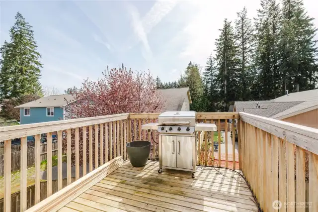 spring is here, fire up the barbecue.